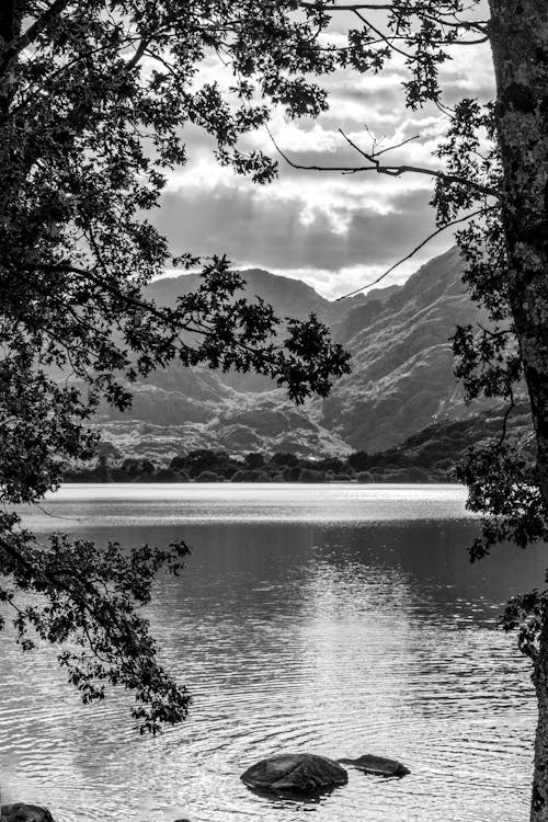 View of Placid Lake Near Mountains in Grayscale Photography