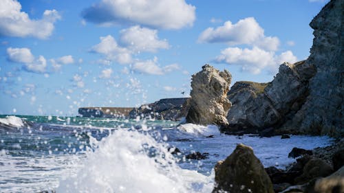 Foto d'estoc gratuïta de Costa, mar, natura