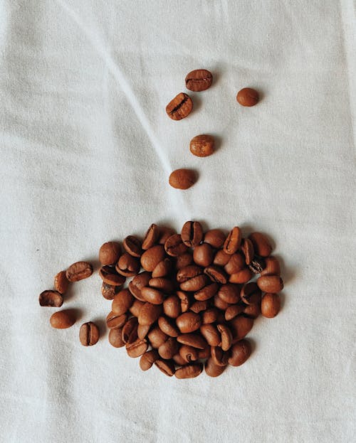 Foto stok gratis biji kopi, latar belakang putih, Pandangan atas