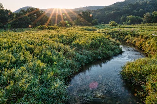 River Flowing Across a Green Field at Daylight