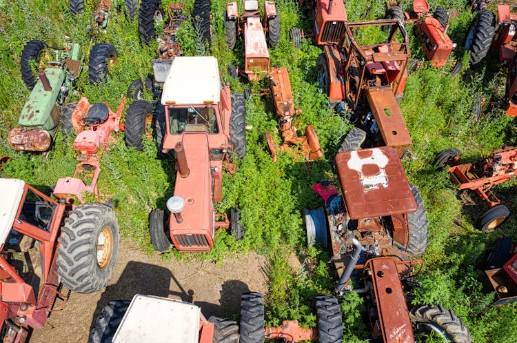 Rusty Tractors Parked On Green Grass