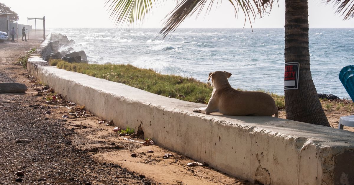 Saint Kitts and Nevis — Caribbean destination