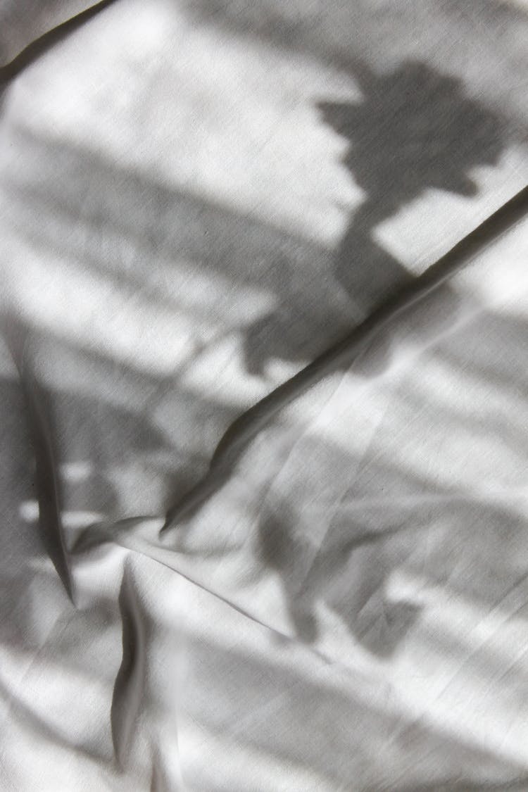 Shadows Of Leaves In Black And White