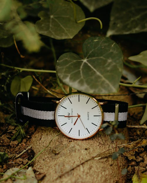 Gratis lagerfoto af Analogt ur, armbåndsur, blad Lagerfoto