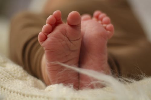 Foto profissional grátis de bebê, cobertura, dedos do pé