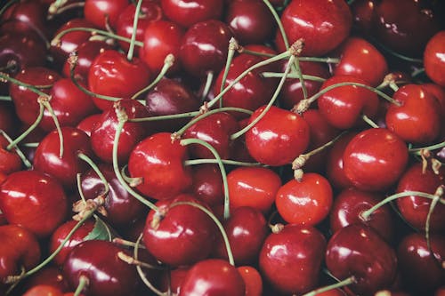 Free Cherry Fruits Stock Photo