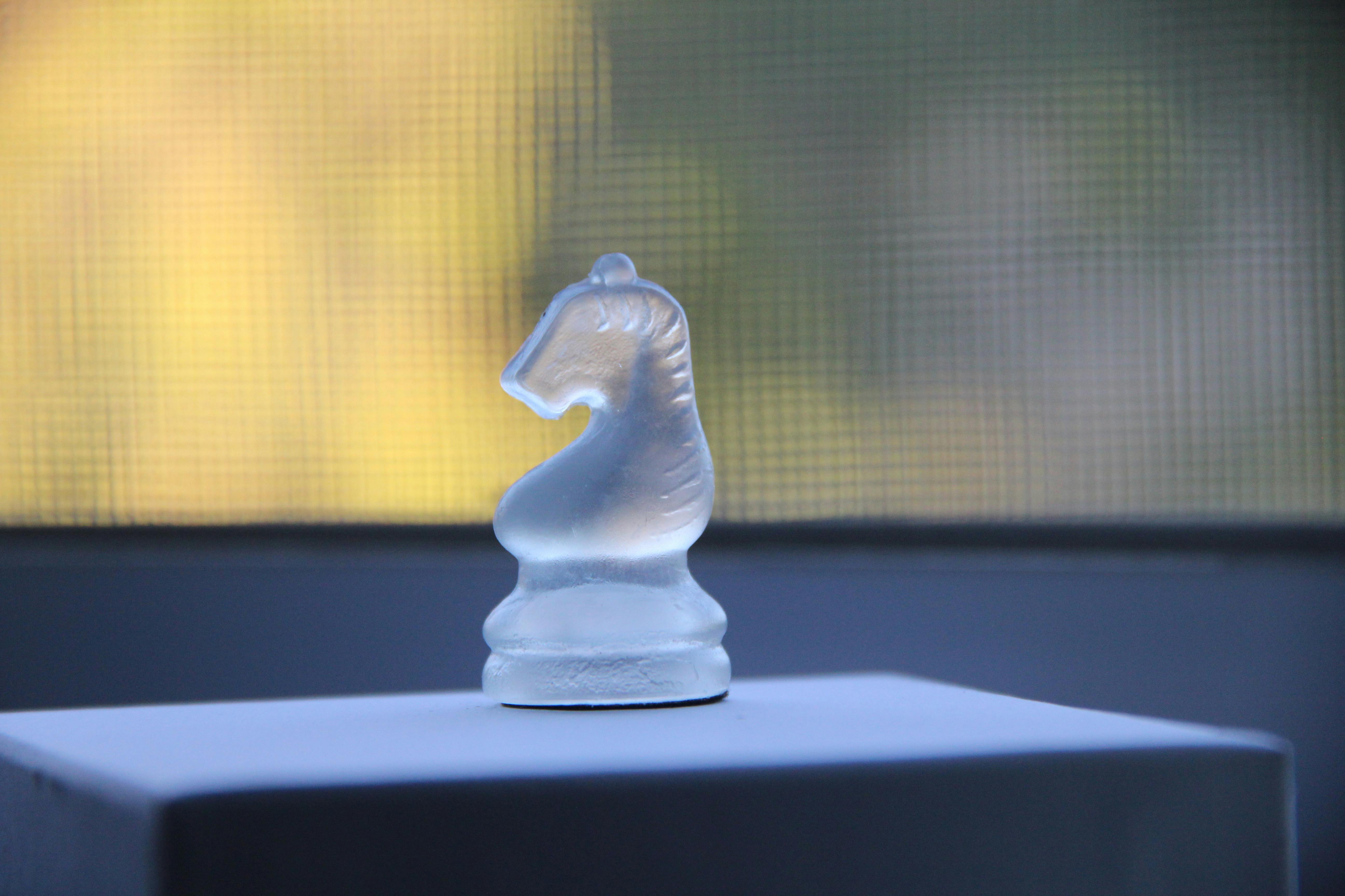 Free stock photo of chess, chess knight, game