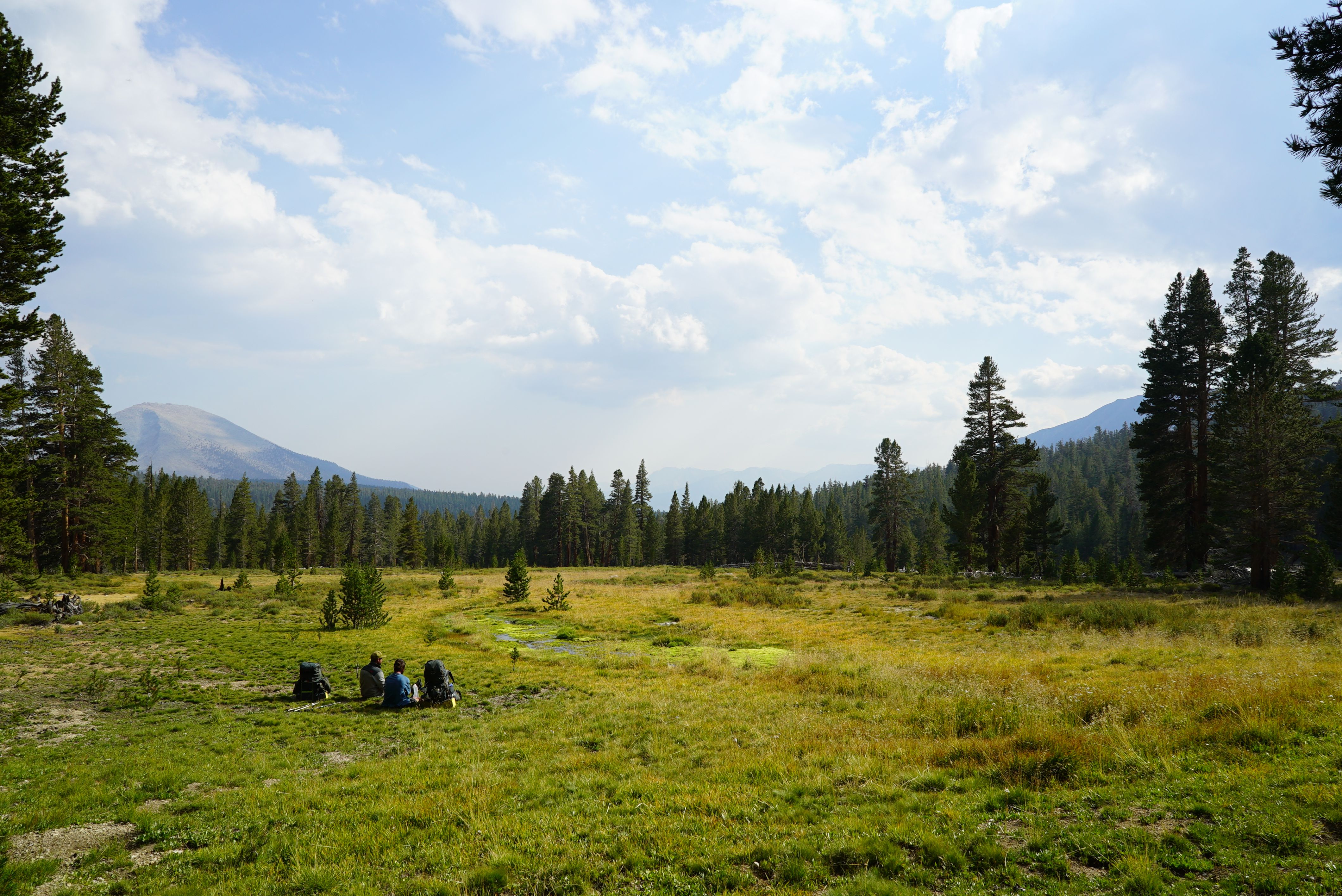 An alpine meadow on the climb to Rae Lakes