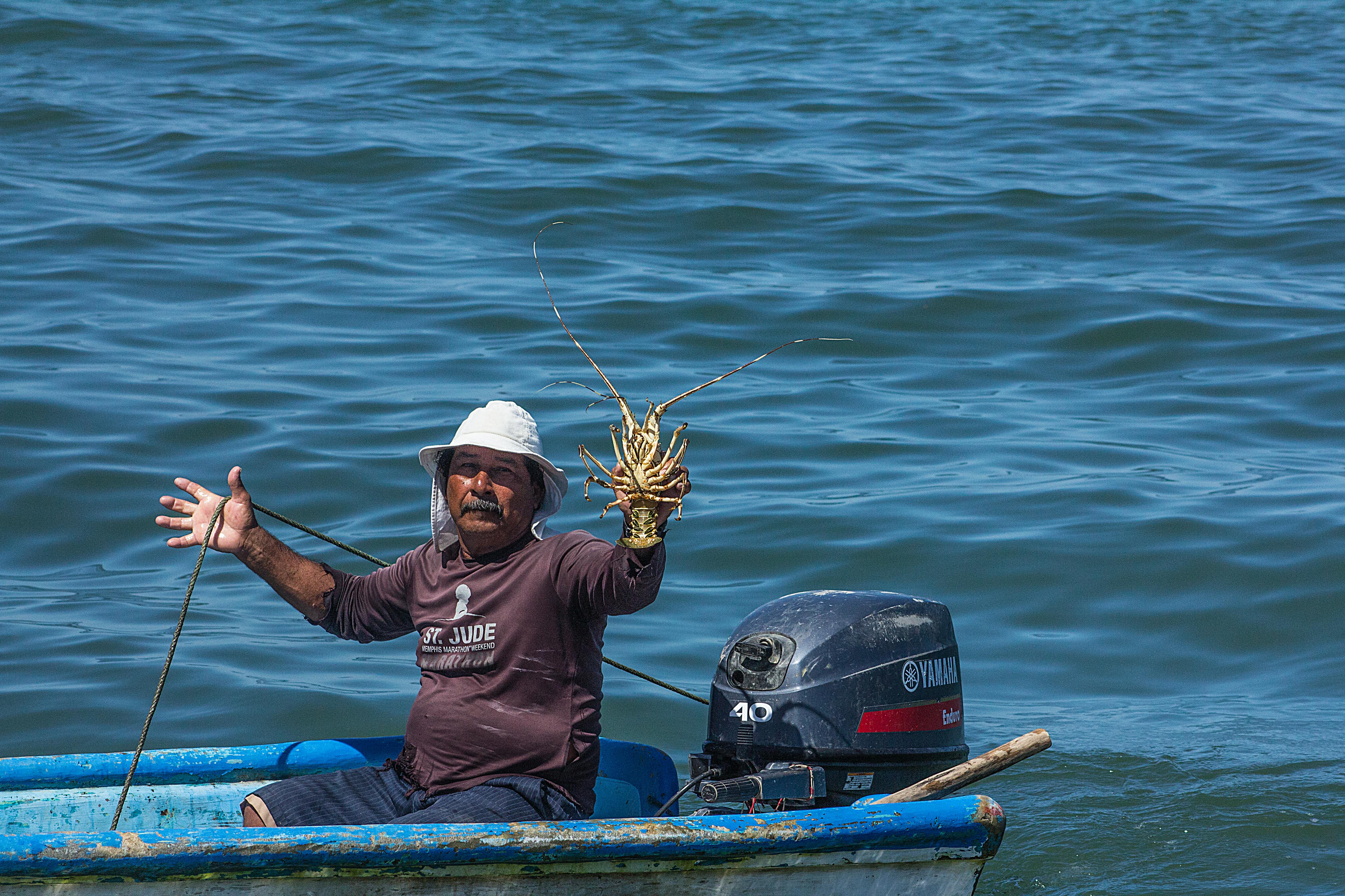 Free stock photo of fisherman, lobster