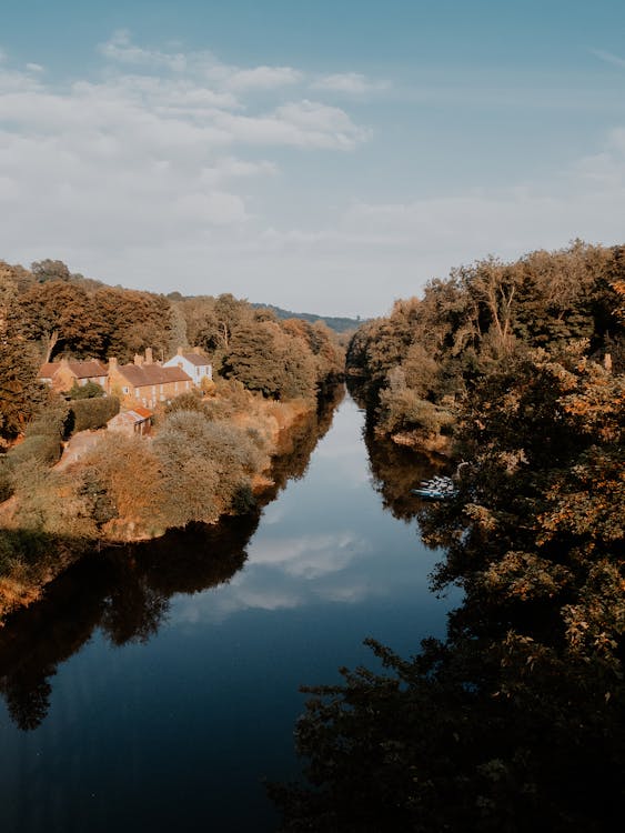 Landscape of river and forest