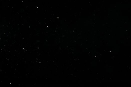 An abstract black background featuring tiny floating dust particles, ideal for design and texture applications.