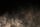 cinematic background