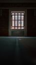 Door with glass window and lattice