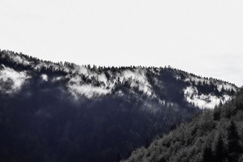 Free Dramatic mist envelops a serene forested mountain range, capturing nature's mystique. Stock Photo