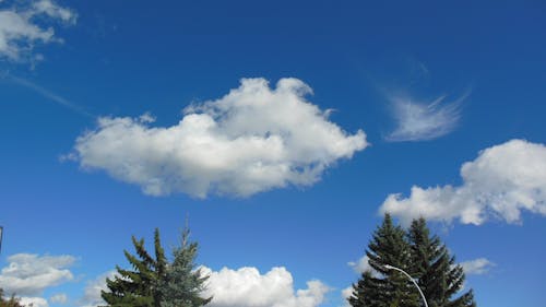 Free stock photo of clouds floting on the blue sky