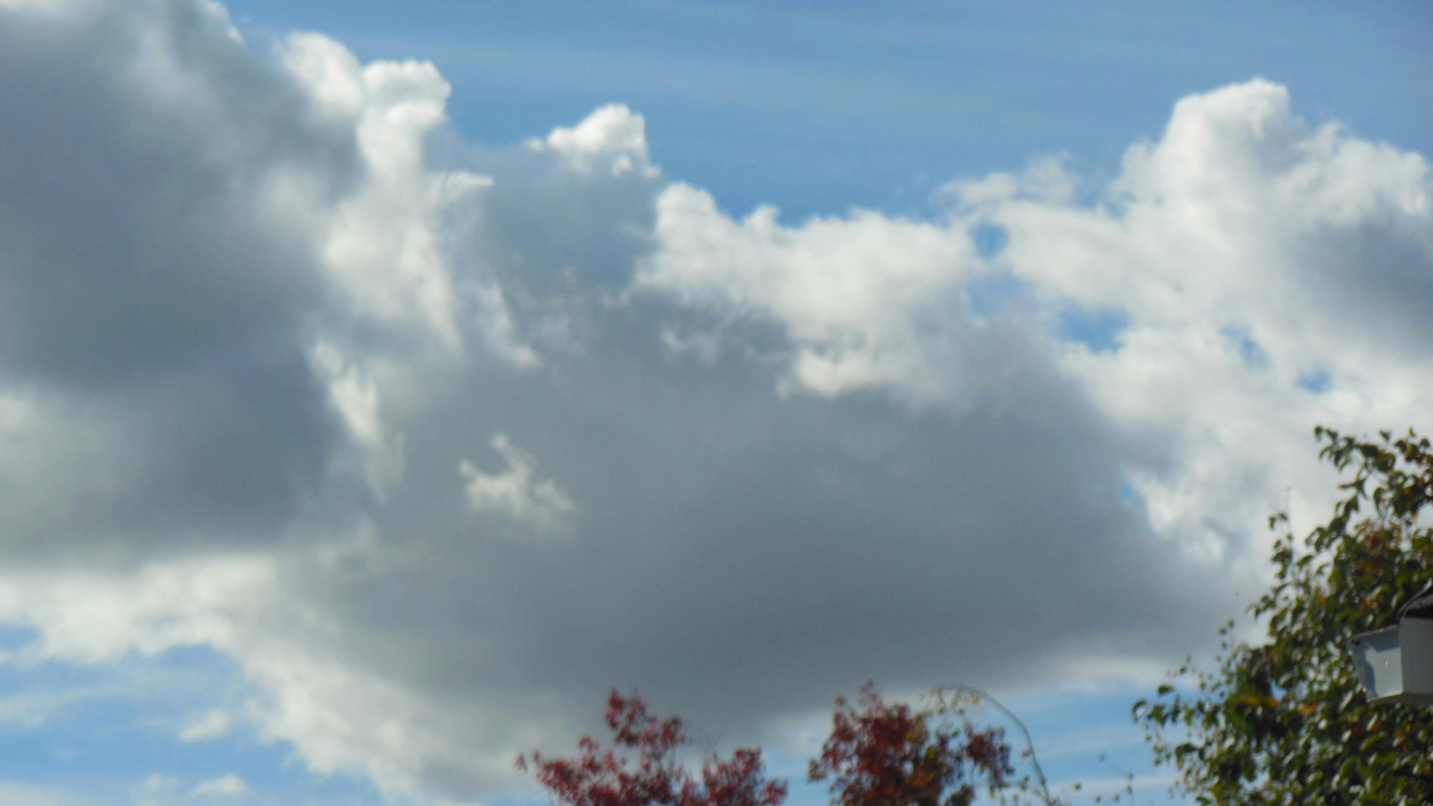 100 Gambar Awan Dan Pohon Paling Keren 100 Gambar Awan Dan Pohon Paling Keren