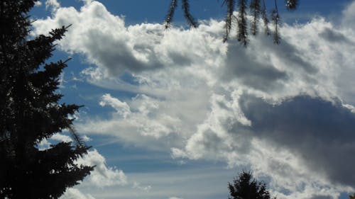 Free stock photo of cumulous clouds