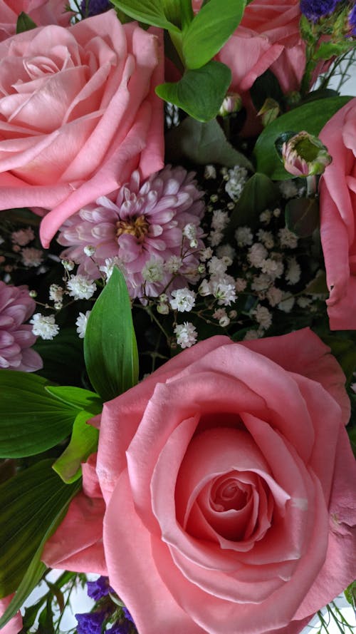 Ingyenes stockfotó csokor, függőleges, rózsaszín rózsák témában