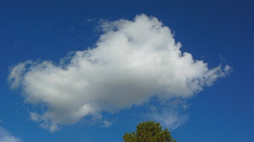 Free stock photo of blue sky, fluffy cloud, lonely