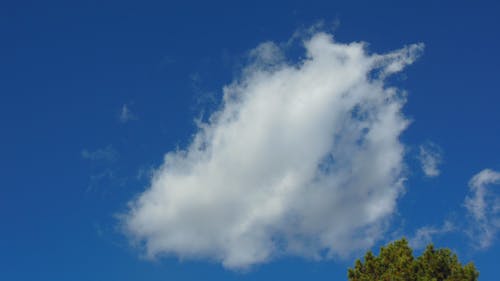 Free stock photo of a lonely cloud