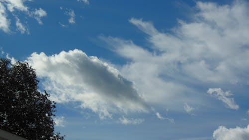 Free stock photo of cumulus clouds