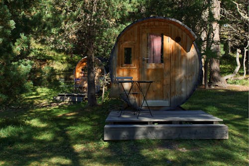 Rustic Wooden House in Forest