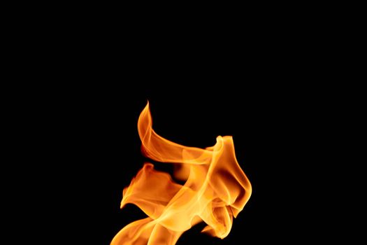 Vivid close-up of dancing flames against a black background, showcasing energy and movement.