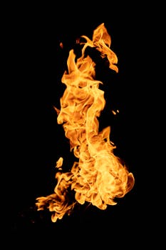 Vivid flames captured against a black background, showcasing heat and movement.
