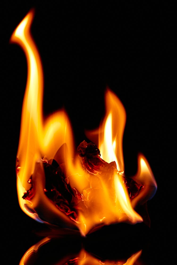 Burning Fire On Black Background