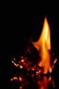 Burning fire on black background