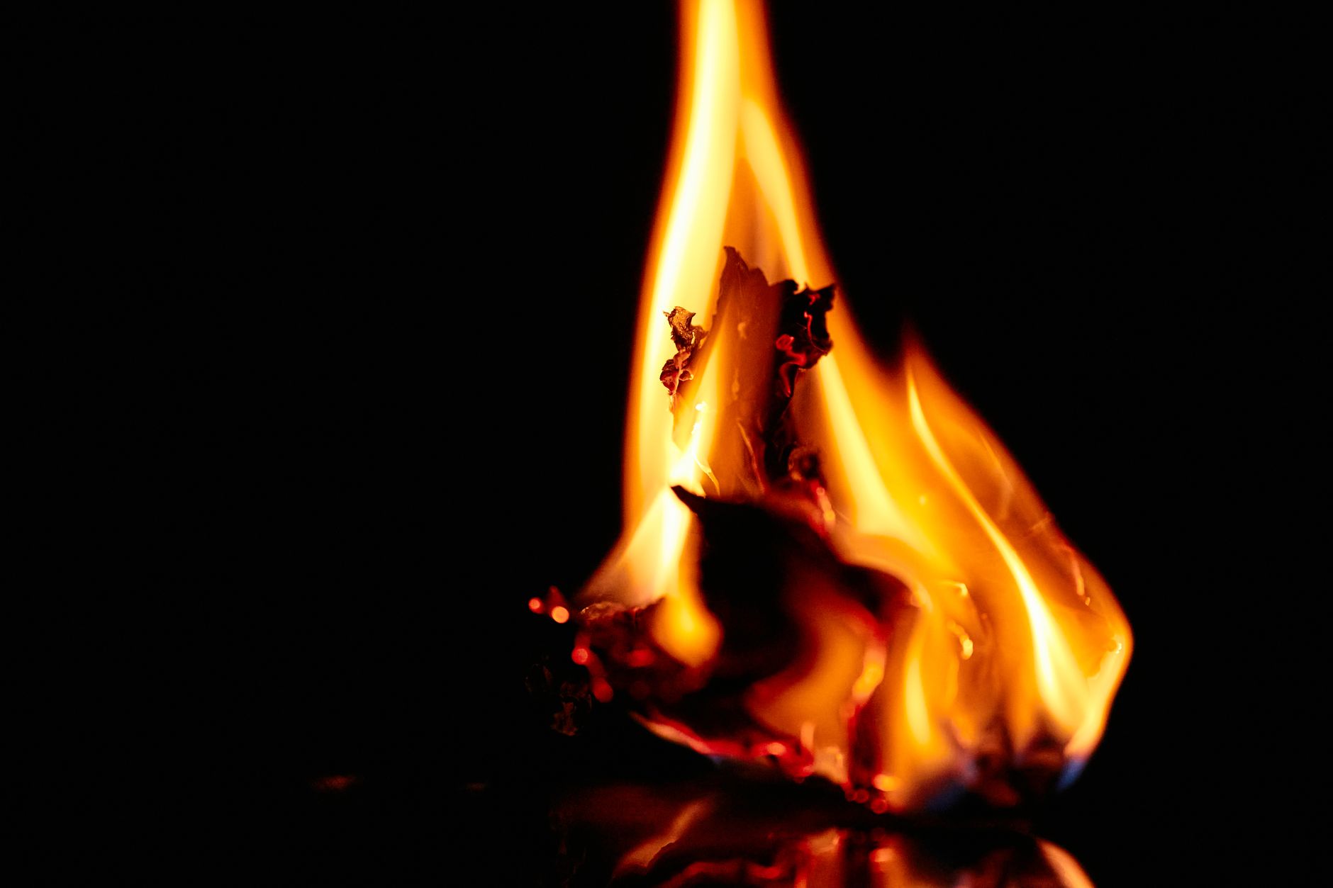 Ethereal fire blaze with vivid colors against a black background.