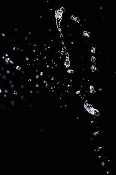 Dynamic capture of water droplets suspended against a dark backdrop, showcasing fluid motion.