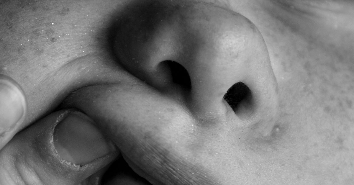 What Is Myofunctional Therapy? How It Supports Natural Jaw Growth and Better Breathing for Children in Tribeca