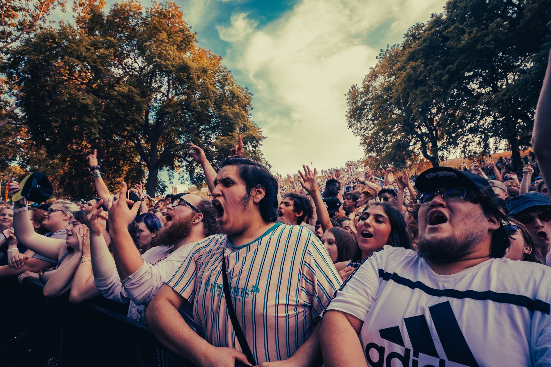 Excited festival-goers cheer at a vibrant outdoor concert with diverse attendees.