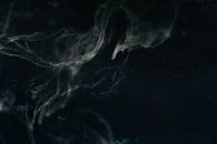 White Ink Diffusion in Water