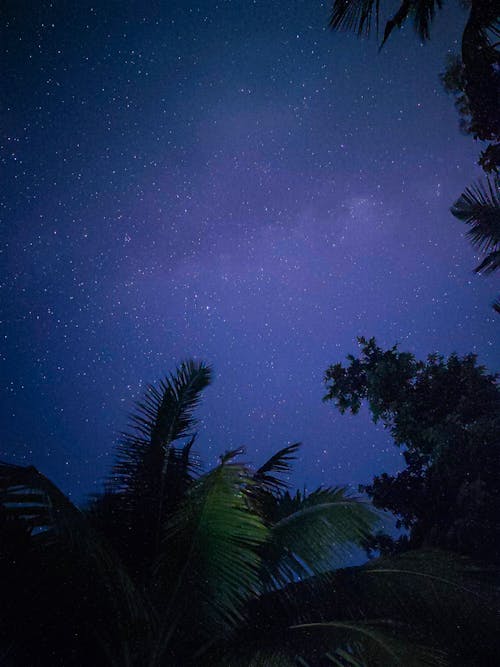 Free stock photo of night photograph, starry night