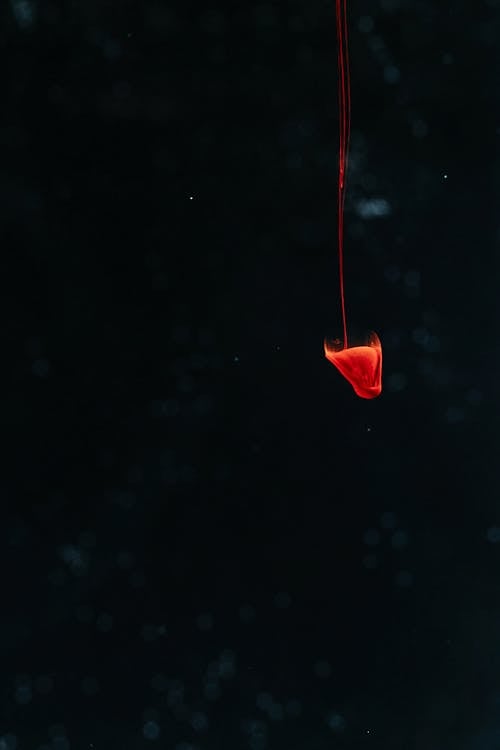 Fotografi Kecepatan Tinggi Difusi Tinta Merah Dalam Air
