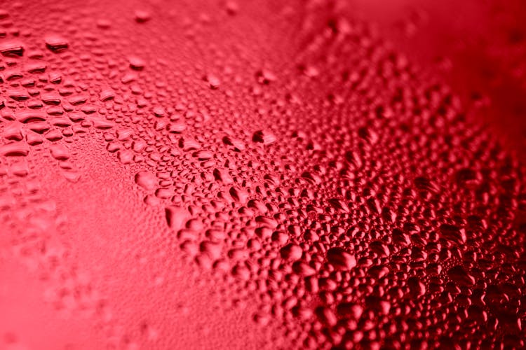 Close-up Of Water Droplets On Red Surface 