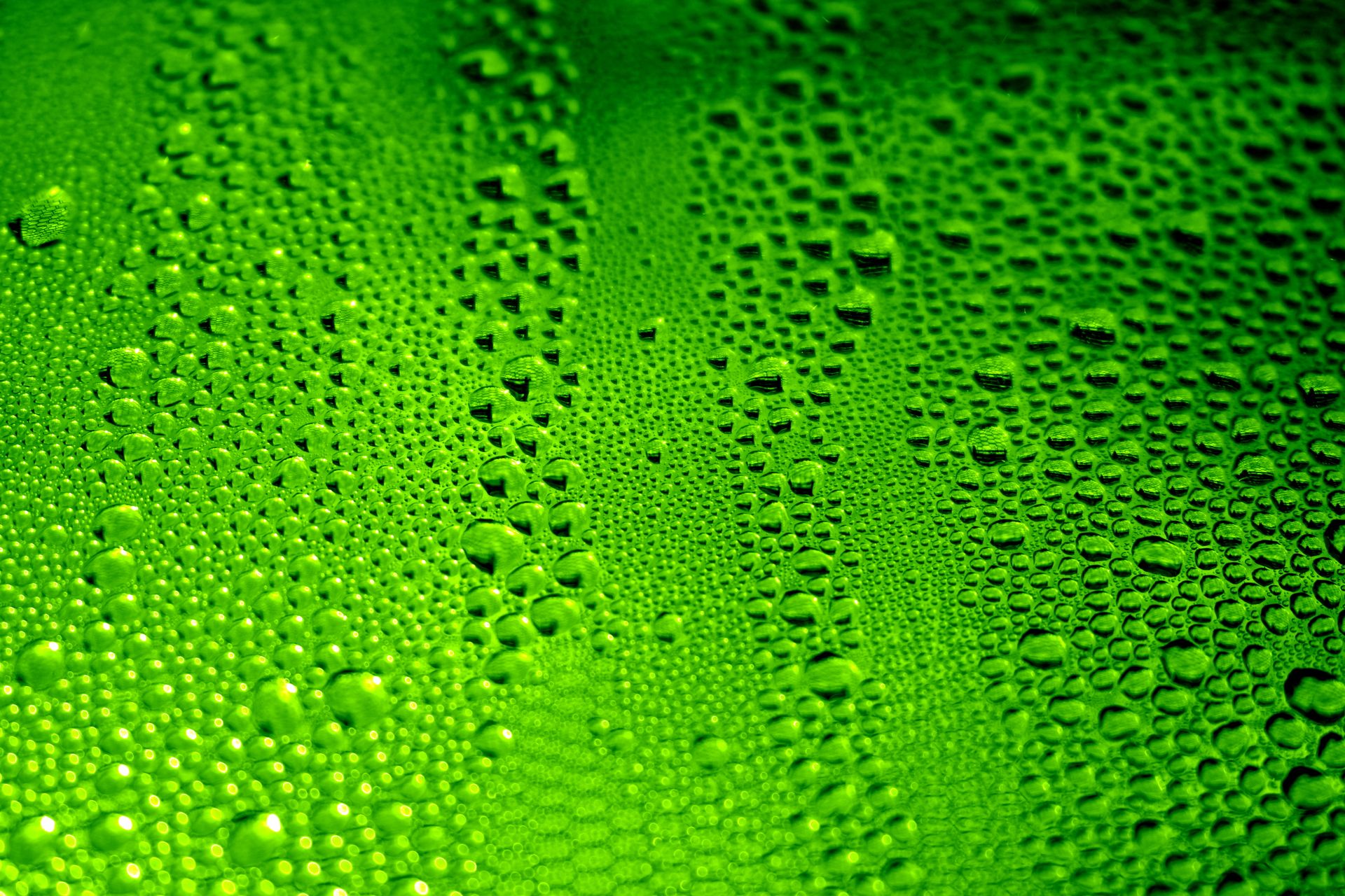 Close-up of green surface with water droplets creating a textured pattern.