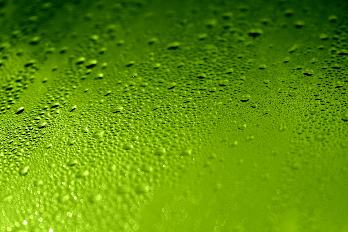 Water Drops on Plain Green Surface