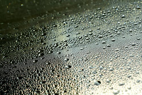 Close Up Photo of Water Droplets on Surface