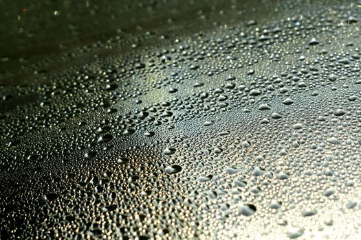Macro shot of dew droplets forming intricate patterns on a surface, highlighting texture and liquidity.. macro, shot, droplet