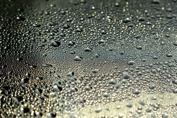 Macro de gouttes d'eau perlant sur surface traitée hydrofuge