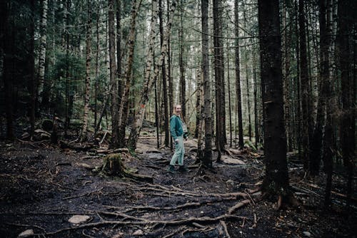 Woman in Blue Jacket Standing on Forest