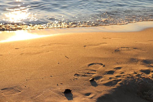 Immagine gratuita di acqua, bagnasciuga, impronte