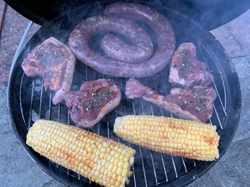 Free stock photo of bbq, boerewors, braai