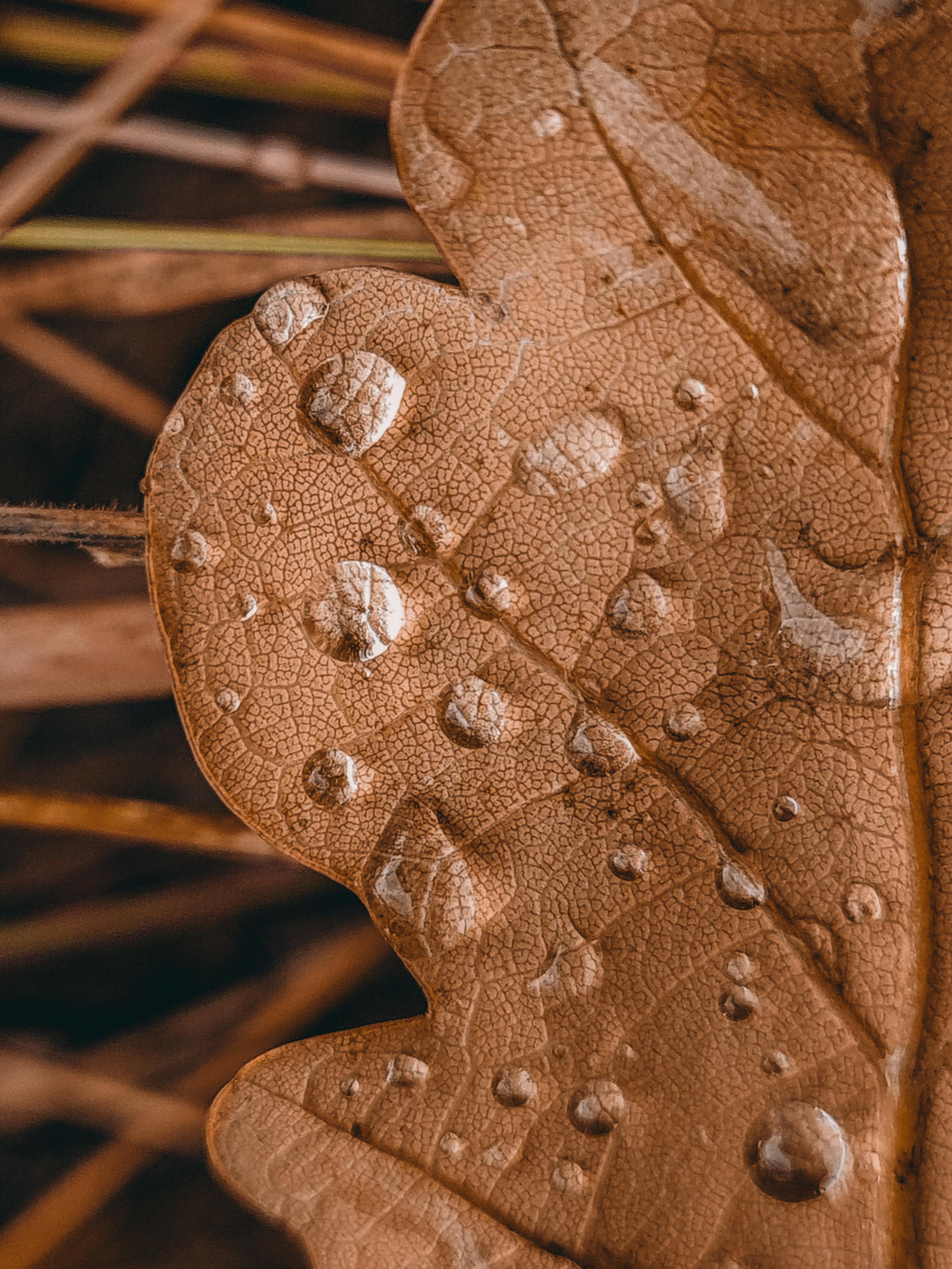 Why do marriages fall apart after 20 years?