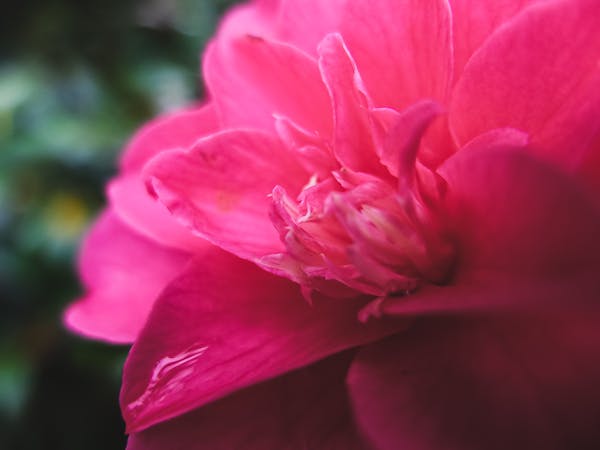 South India temple architecture with intricate carvings
