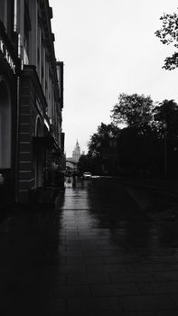 Black and white photo of a rainy street, highlighting architecture and reflections.