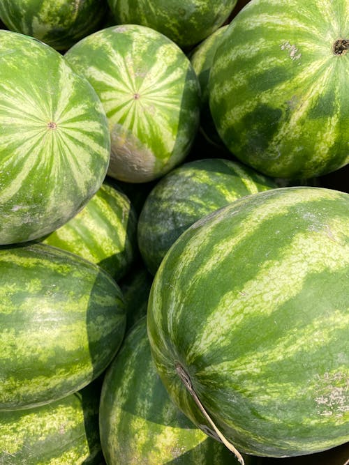 Free Close-up of a Bunch of Watermelons  Stock Photo